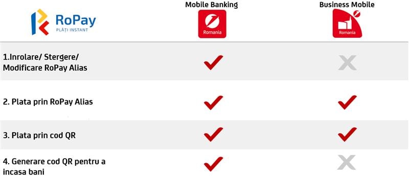 Functionalitati disponibile RoPay